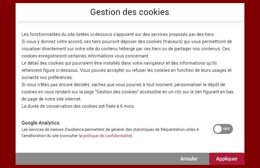 Illustration fenêtre choix cookies | DPO Expertises